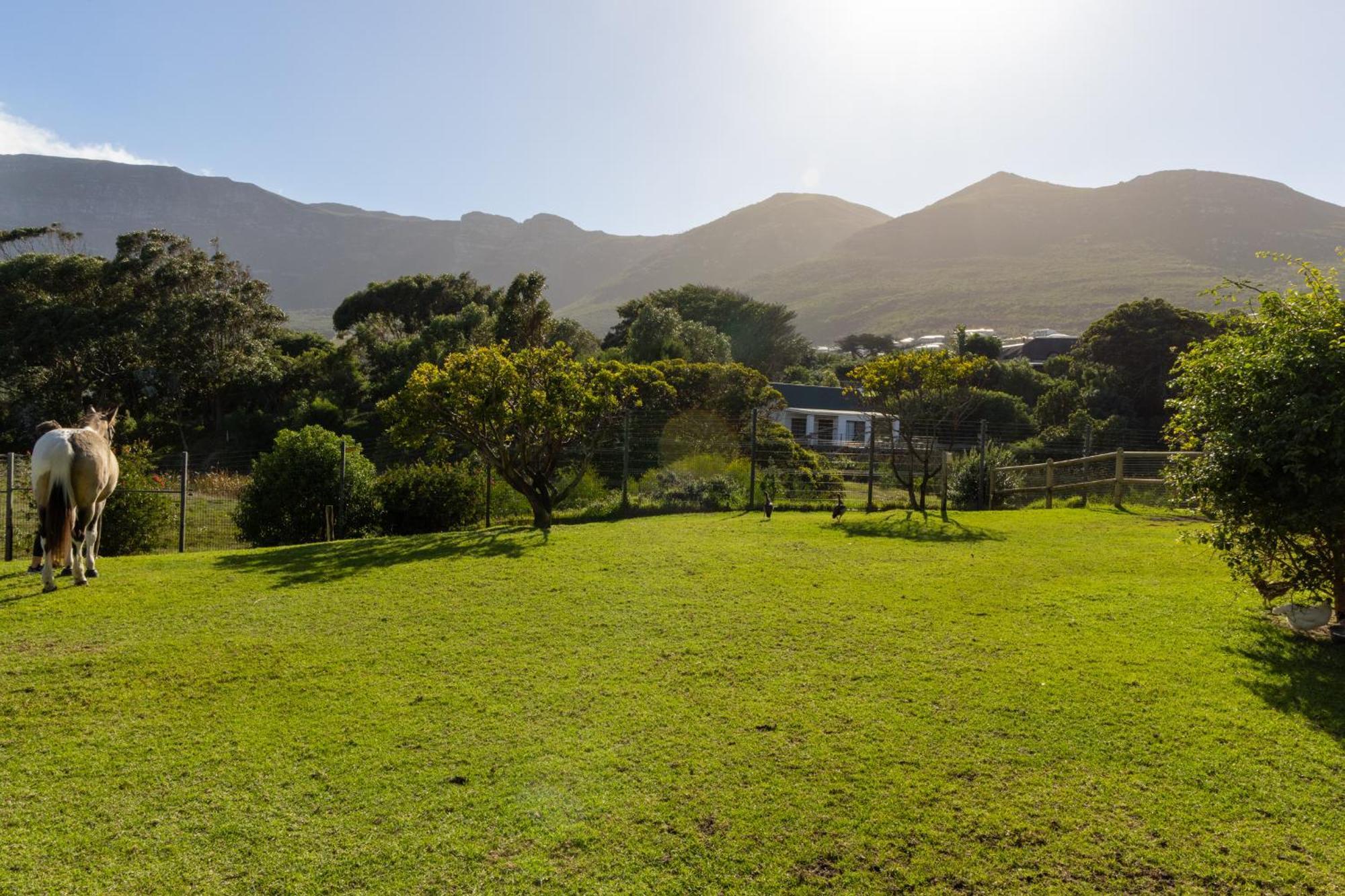 Serene, Thatched Apartment In Noordhoek, Cape Town Exterior photo